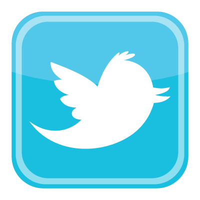 twitter bird icon logo vector 400x400