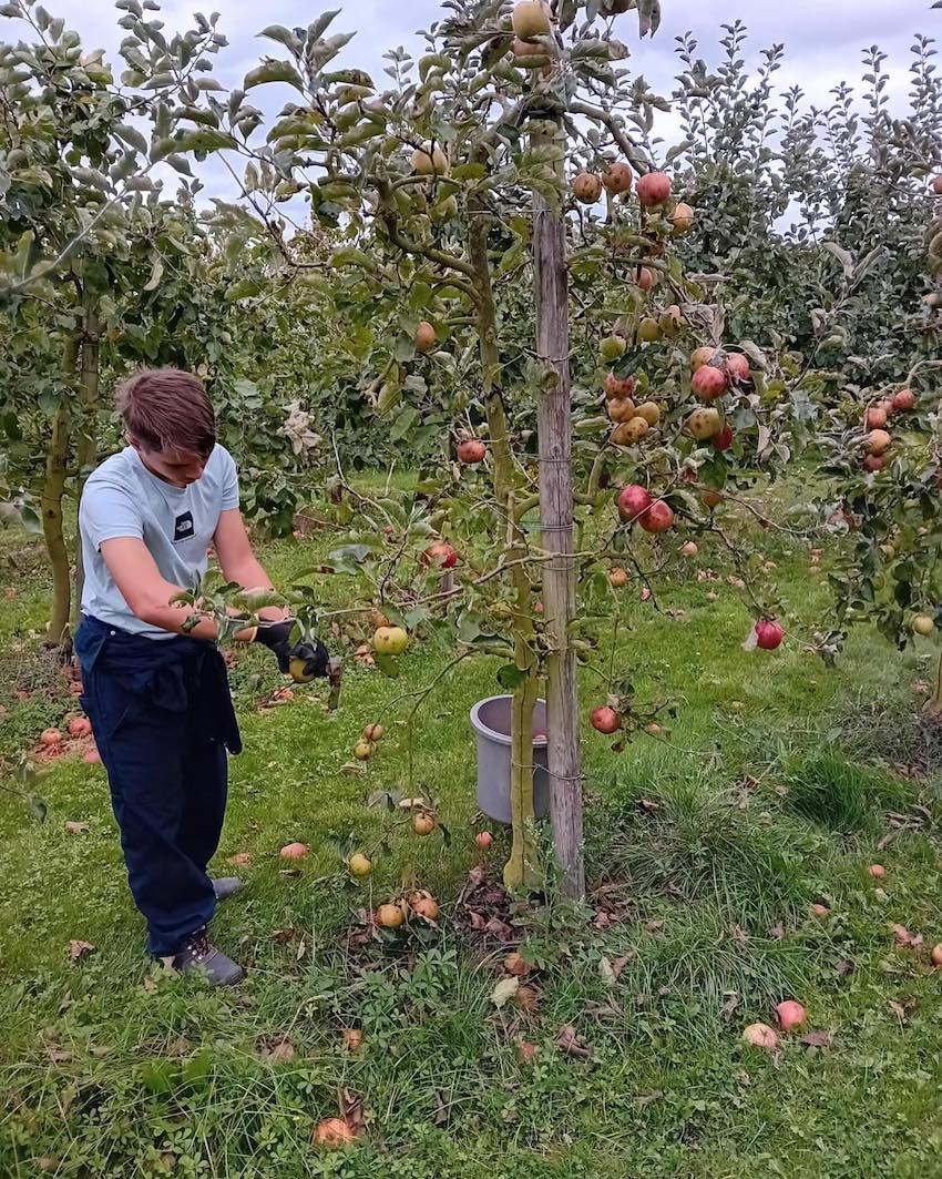 Opération « Croque local », l’IPES Tournai s’engage pour le développement durable