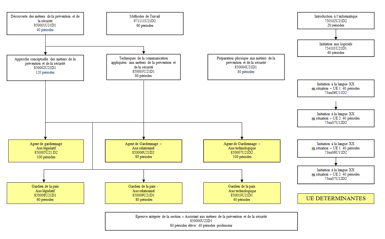 exemple de cv simple pour infirmiere   53