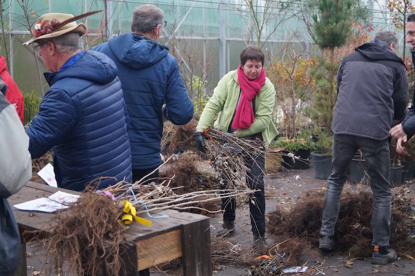 Distribution d’arbres à l’IPES Tournai : la haie à l’honneur