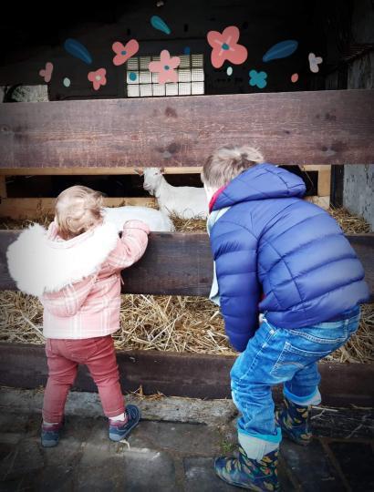 450 biberons en 10 jours et des tonnes de câlins. La Chèvrerie pédagogique de la Gade grandit !