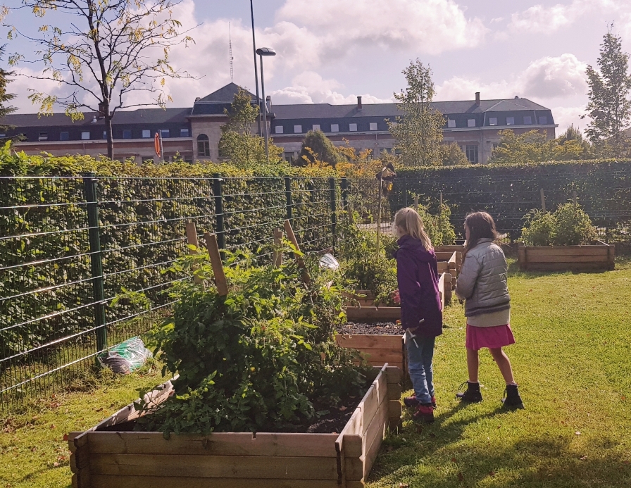 Notre école est inscrite au label Eco-School