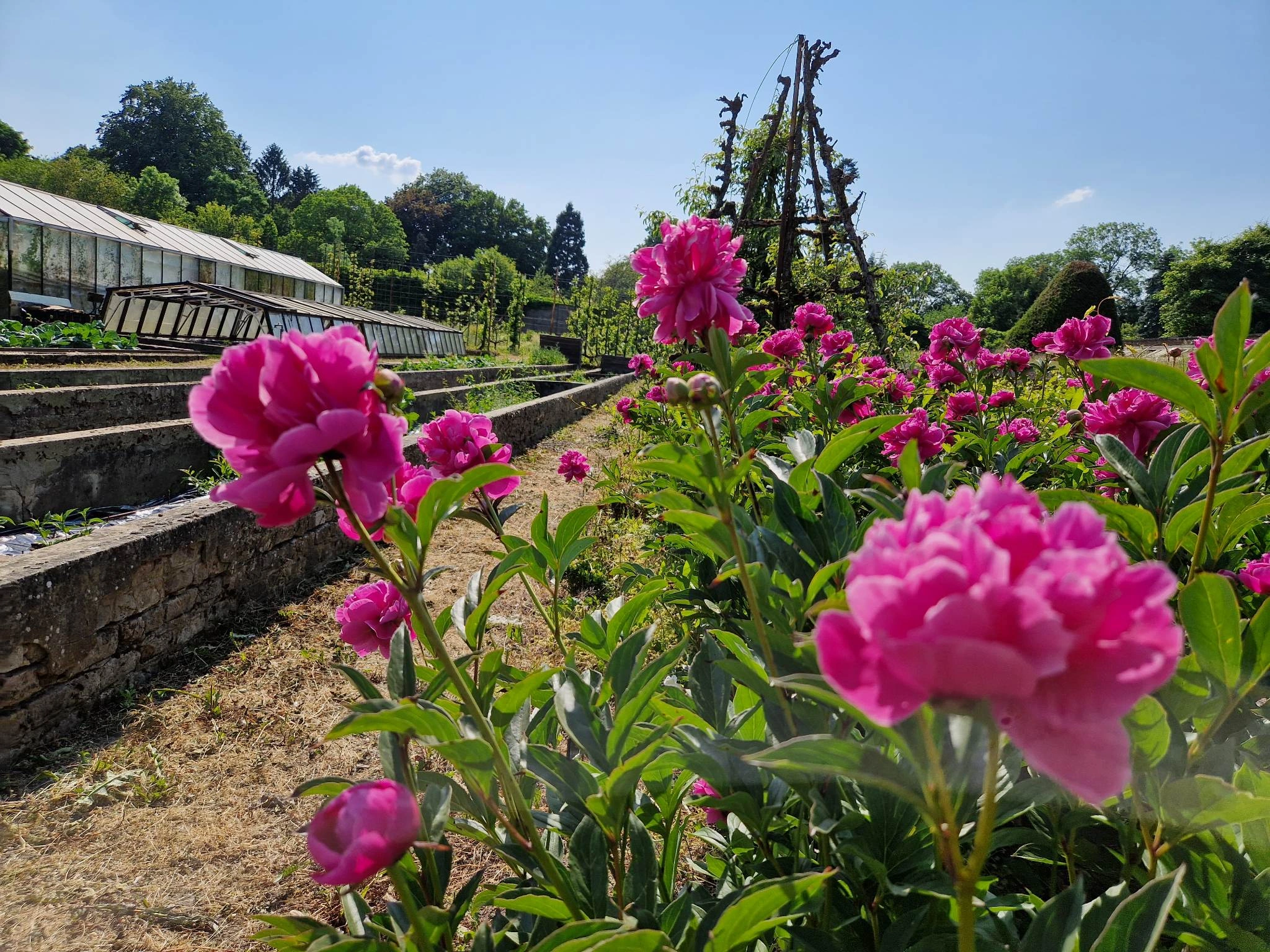Des cours de promotion sociale au Potager classé du parc de Mariemont