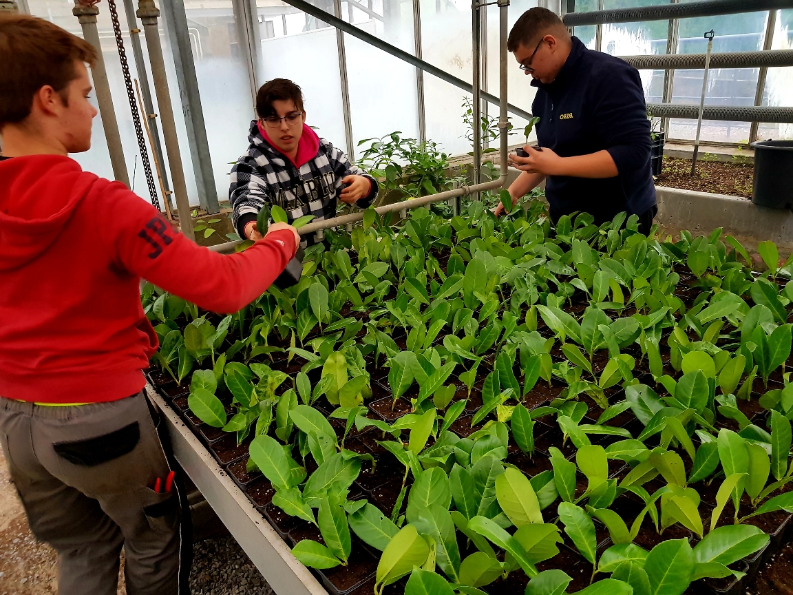 Que fait un horticulteur par ce temps ? Il travaille ! 