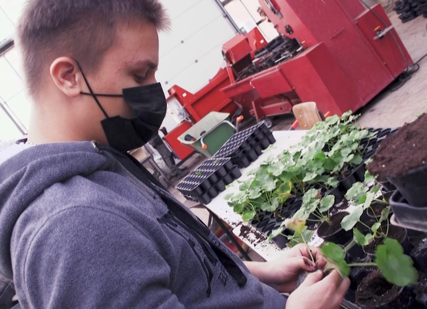 Découverte de l'école d'horticulture de l'Athénée provincial Warocqué