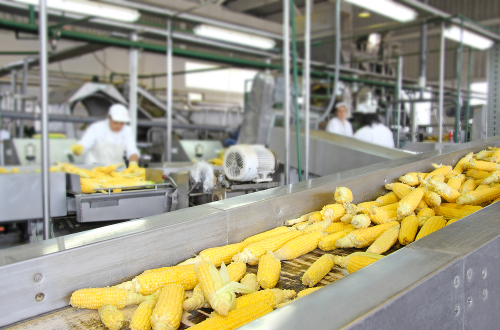 Insdustrie Agro Alomentaire