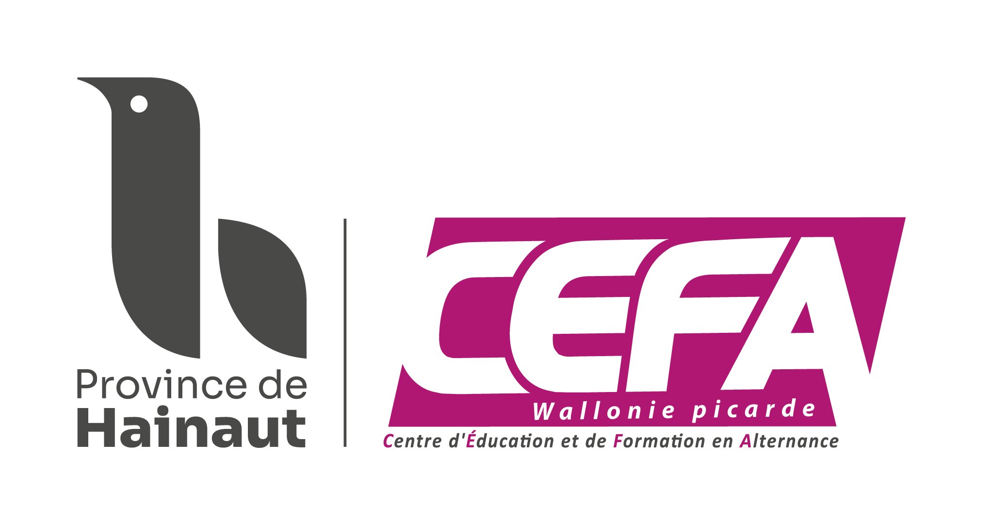 logo CEFA 2022 v01