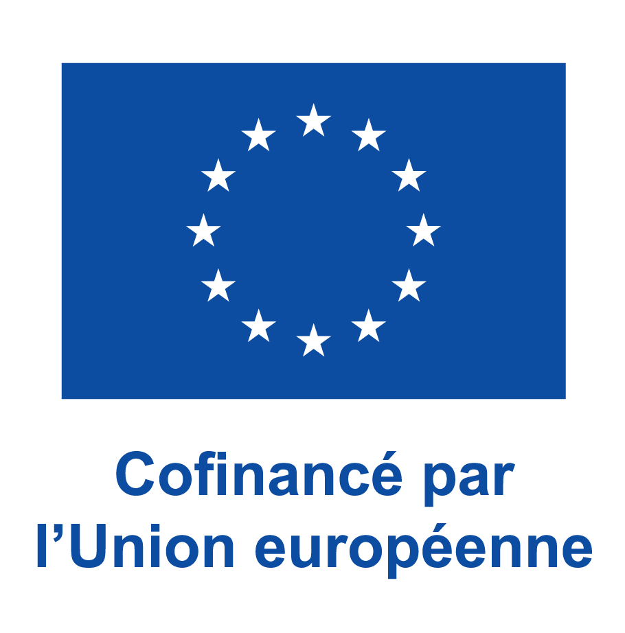 LOGO Cofinancé par lUnion européenne PANTONE