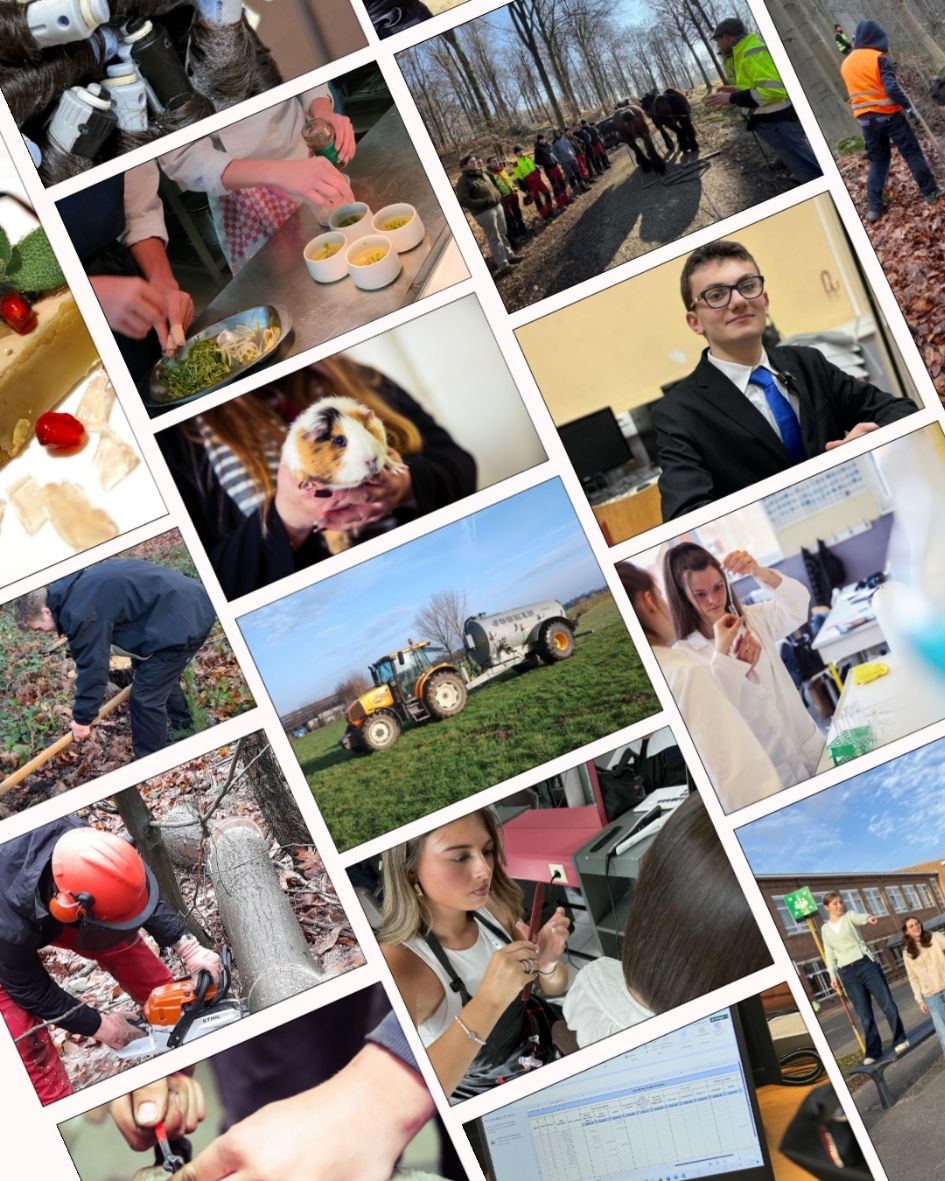 Journées Portes Ouvertes à l’IPES Ath : 10 & 11 avril 26