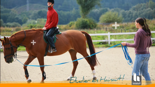 Découvrez notre Centre de formations des Métiers du Cheval