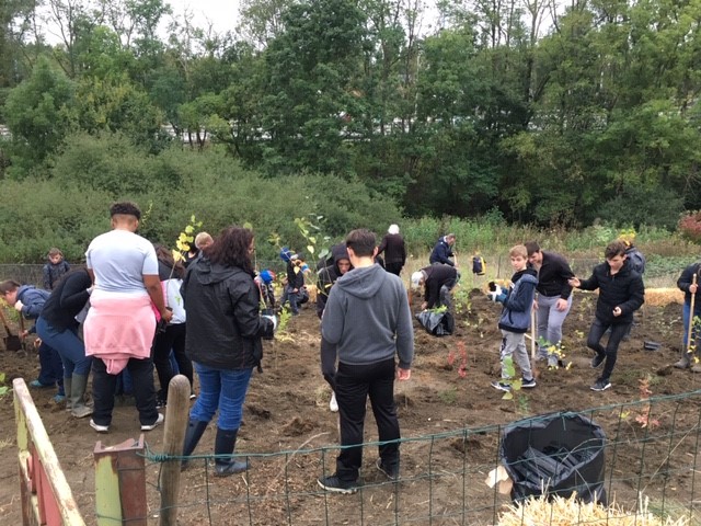 Une forêt urbaine à Charleroi !