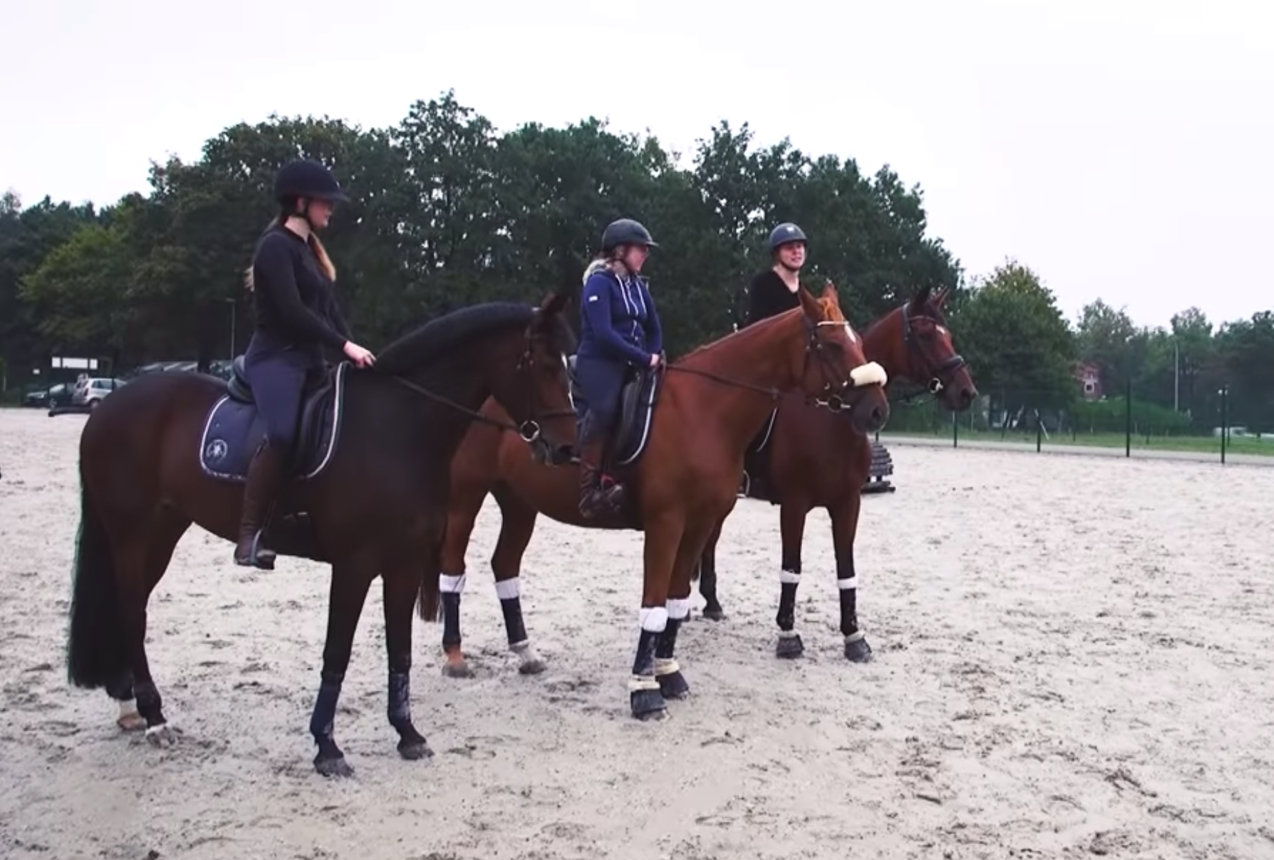 Les coulisses de l'équitation