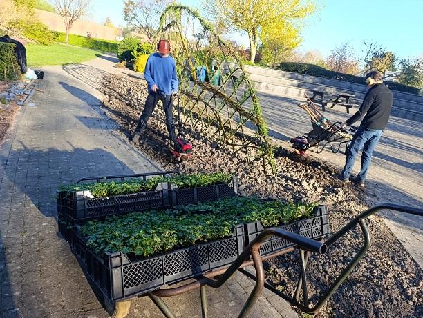 WhatsApp Image 2026 04 08 at 10.16.49