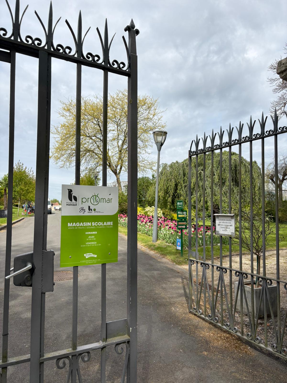 WhatsApp Image 2026 04 17 at 14.52.20