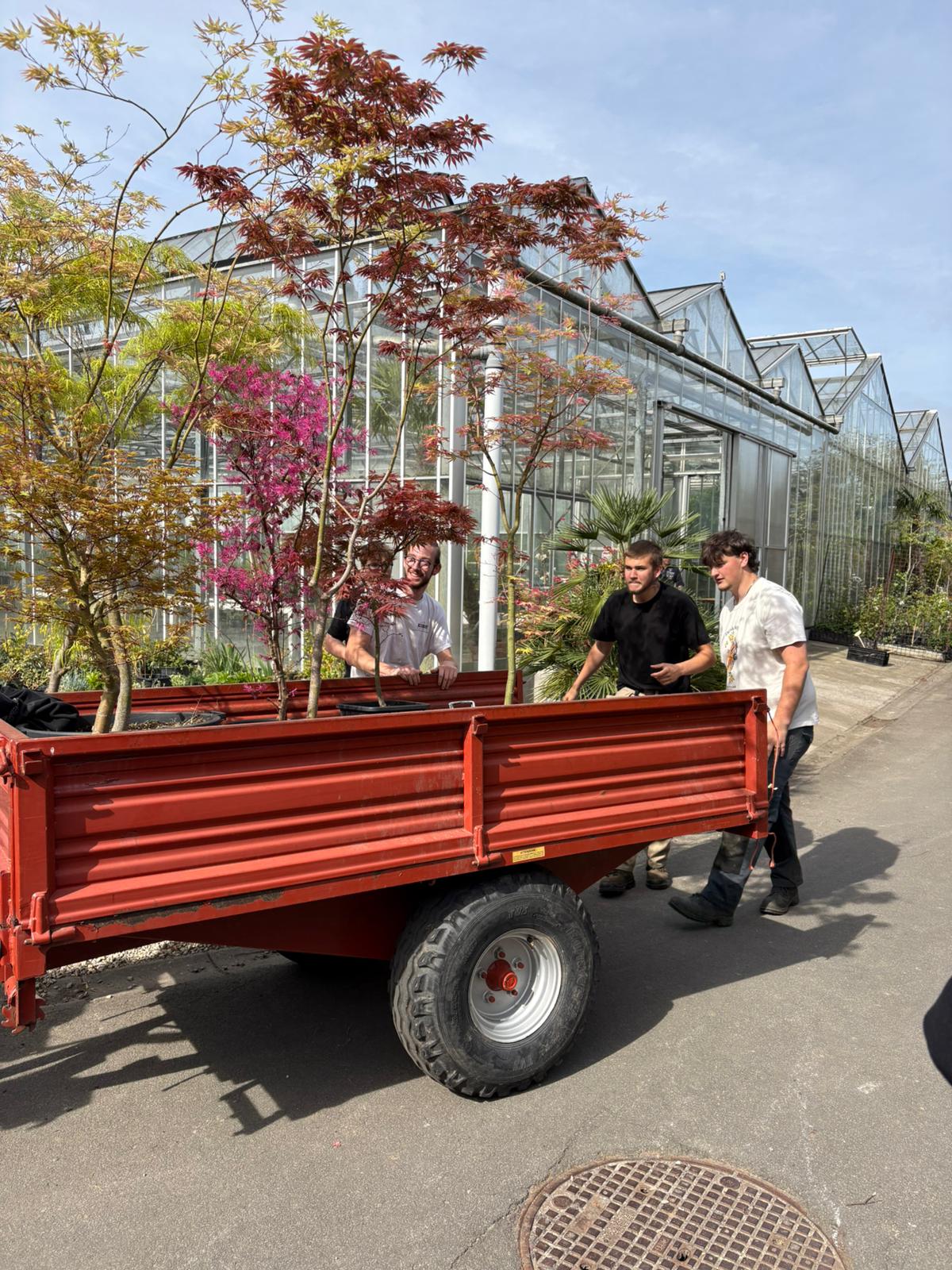 WhatsApp Image 2026 04 17 at 14.52.21