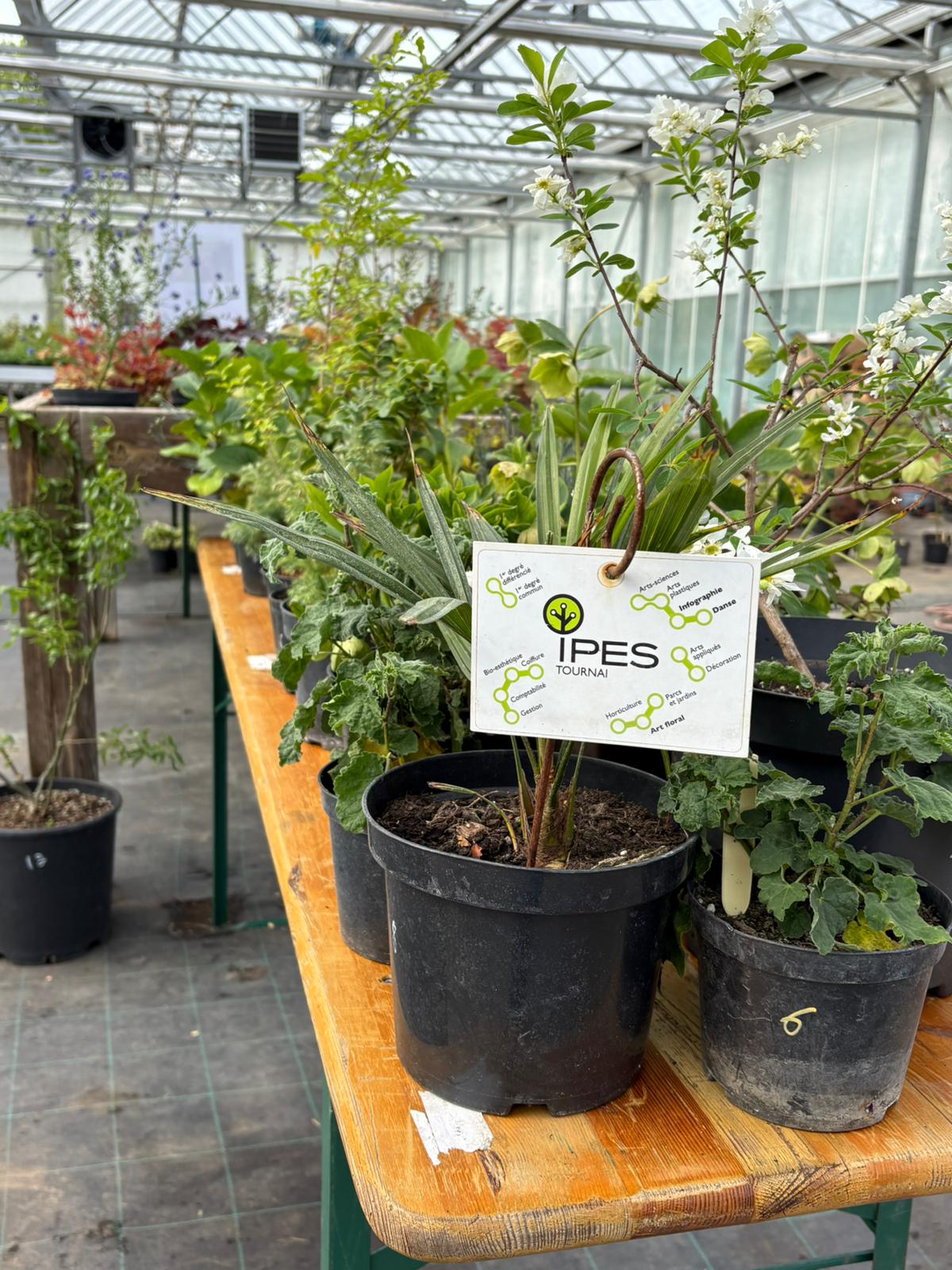 WhatsApp Image 2026 04 17 at 14.52.34 1