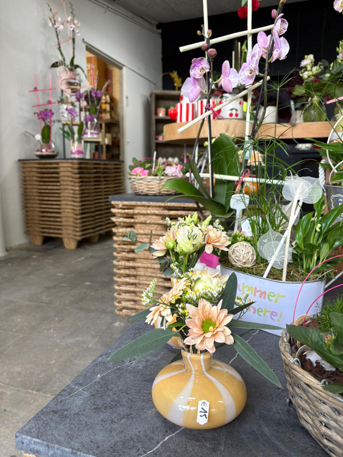 WhatsApp Image 2026 04 17 at 14.52.38