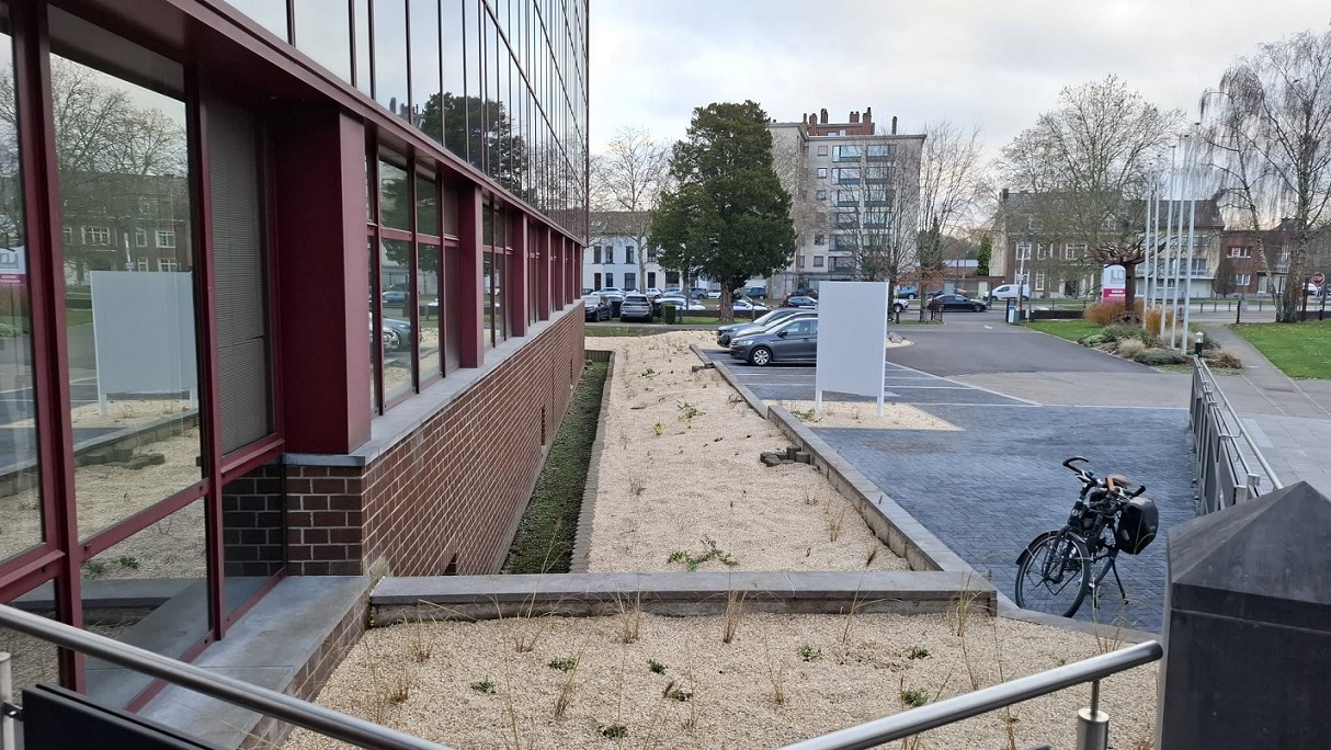 WhatsApp Image 2025 12 16 à 11.51.20 2870aefb