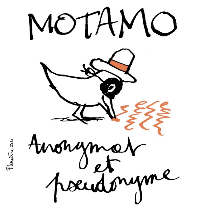 Motamo 01