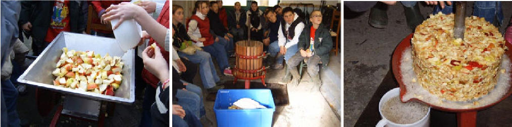 Ferme de la Hulotte Athénée Chapelle Mariemont 2004 6