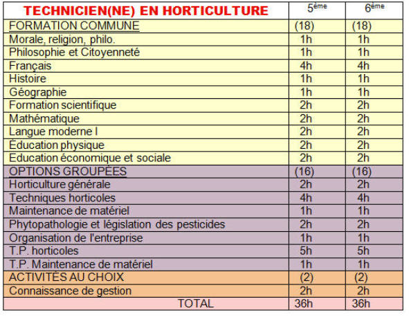 TECHNI HORTI 5 6