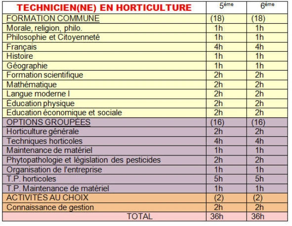 TECHNI HORTI 5 6