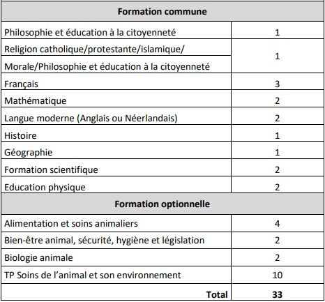 Ouverture d'une nouvelle option à Chapelle !