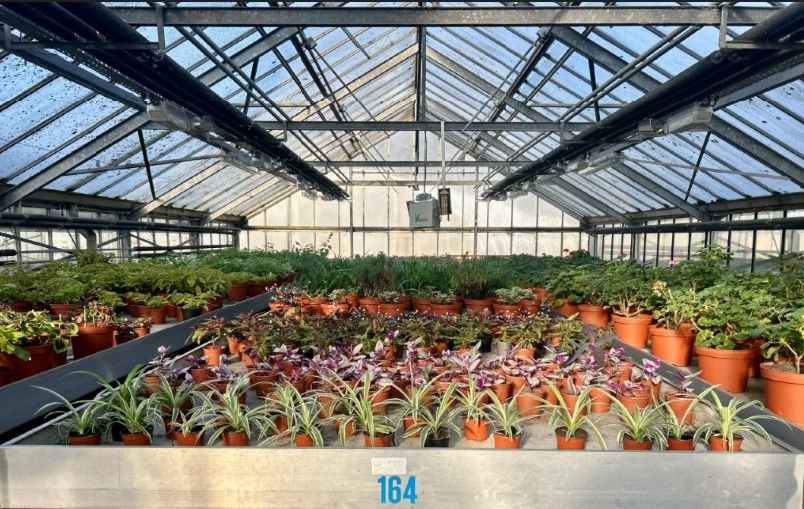 Photo serre intérieur