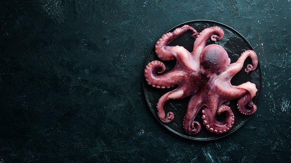Octopus on a black background. Seafood. Free space for your text. flat lay