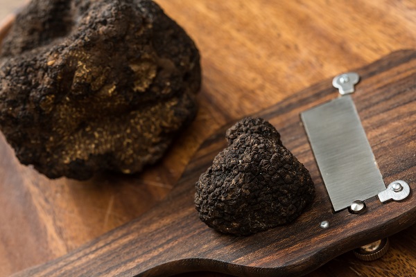 delicacy mushroom black truffle. rare and expensive vegetable