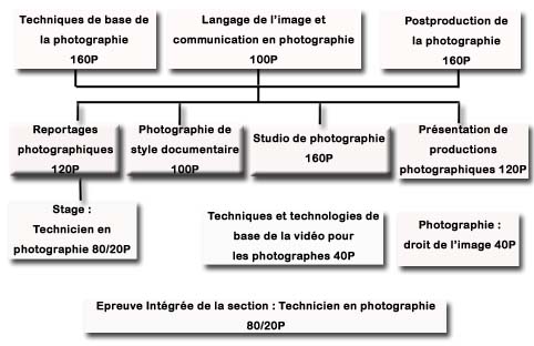 organigrammephoto