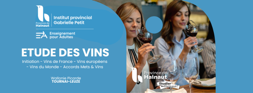 etude des vins global 1