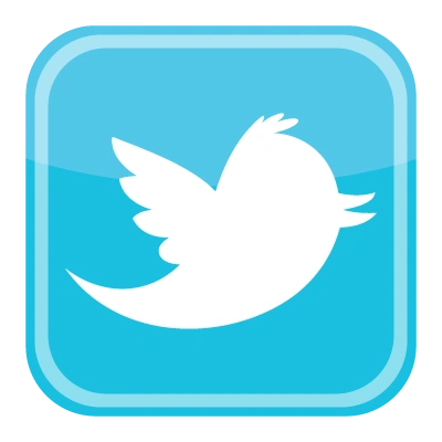 twitter bird icon logo vector 400x400