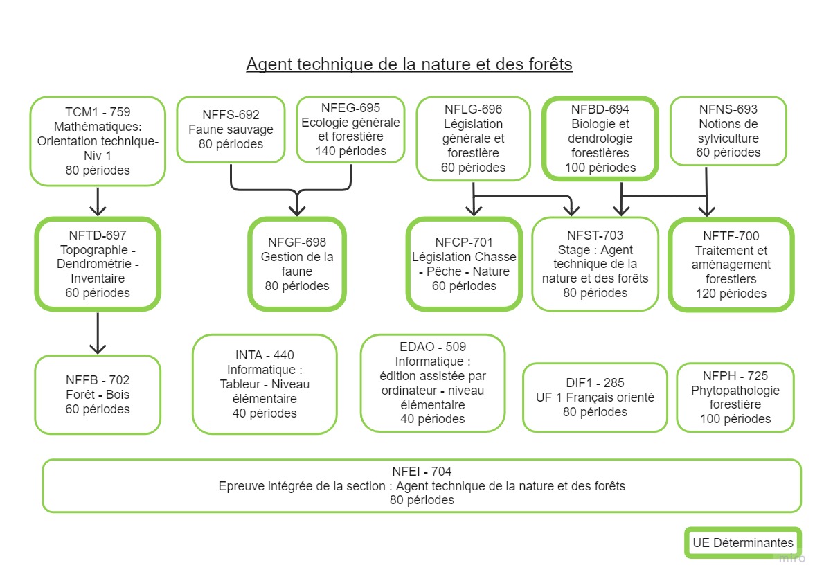 Agent technique de la nature et des forêts