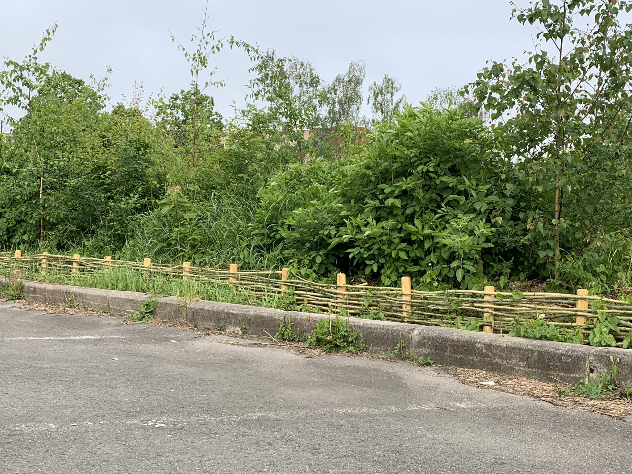 Construction d’une bordure en plessis autour de la forêt Miyawaki