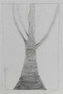 arbre 3