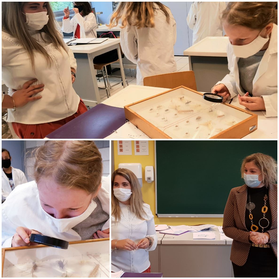 12h de sciences par semaine à 15 ans? Même pas peur !