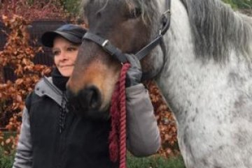 Les chevaux provinciaux aussi en confinement