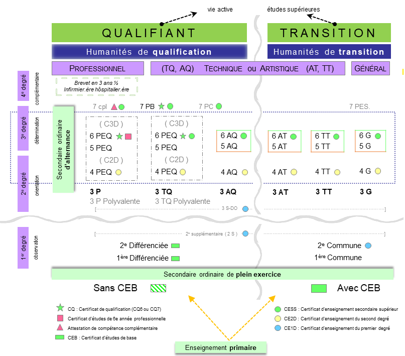 structure enseignement 2023