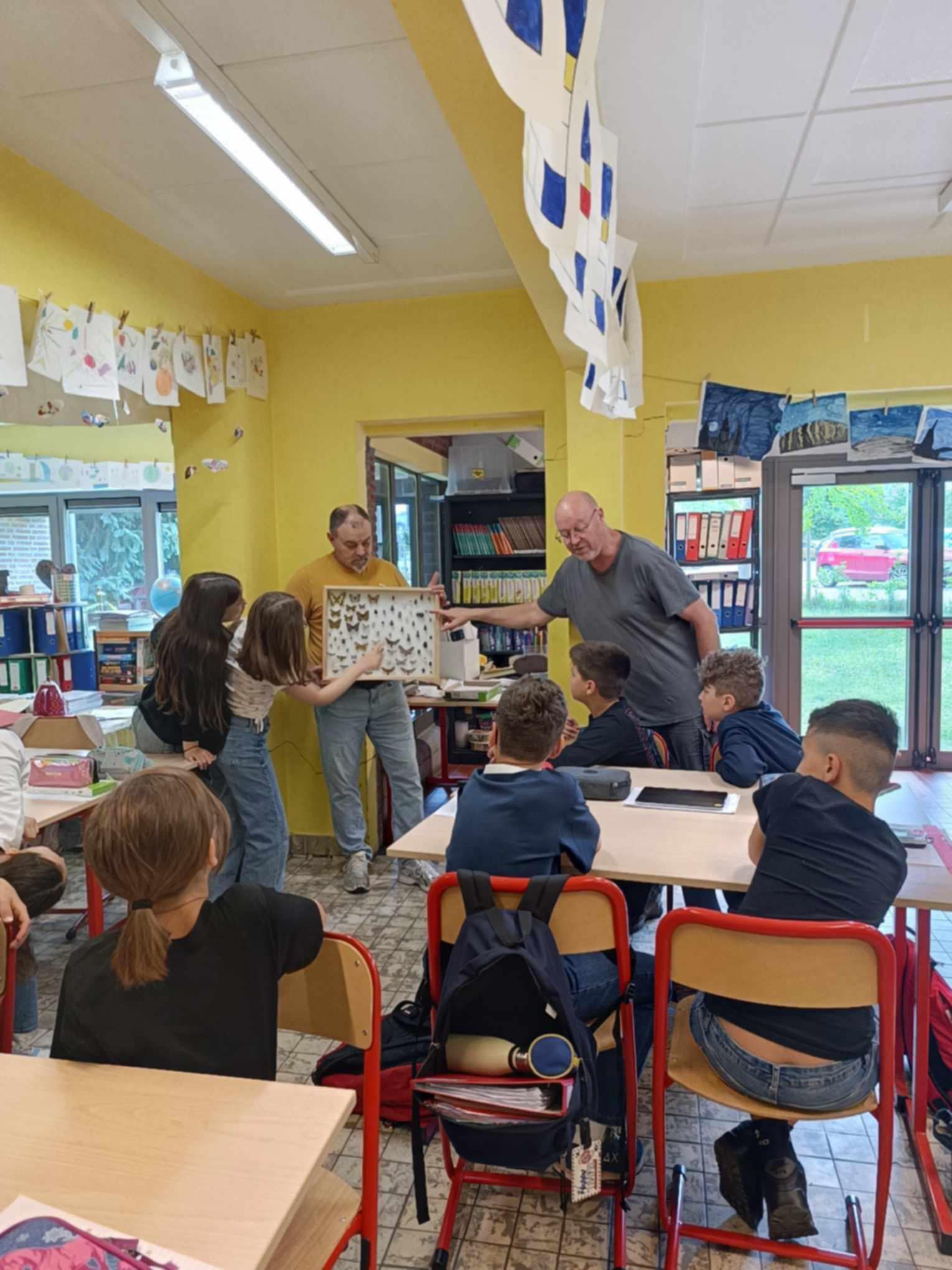 insectes école Morlanwelz