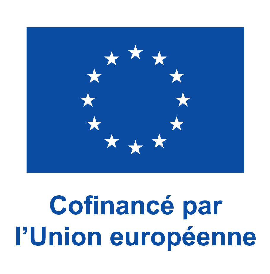 FR V Cofinancé par lUnion européenne PANTONE