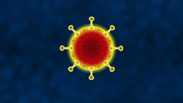 coronavirus 5089793 640
