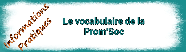 Bandeau Info Pratique VOCPROMSOC