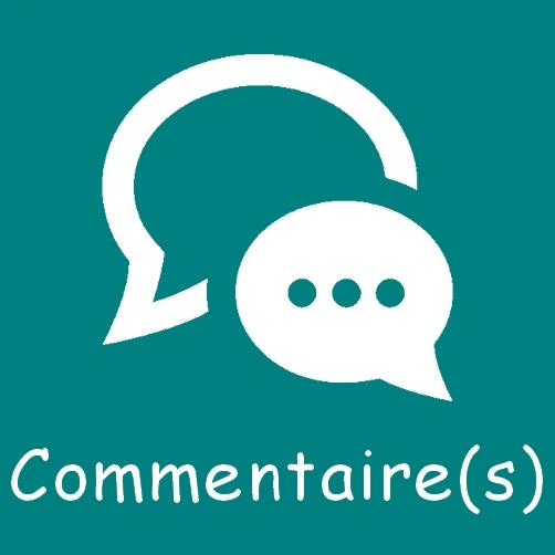maquette BOUTON COMMENTAIRE
