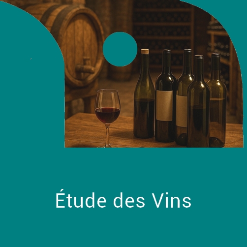 BT2025 BASE NV VIN GENE