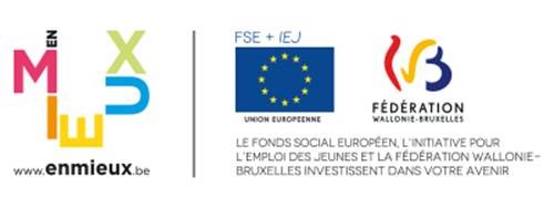 logo FSE