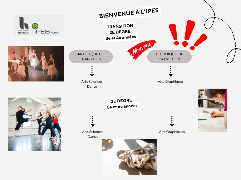 Organigramme IPES Site internet Transition 2 et 3 degré 2025 2026