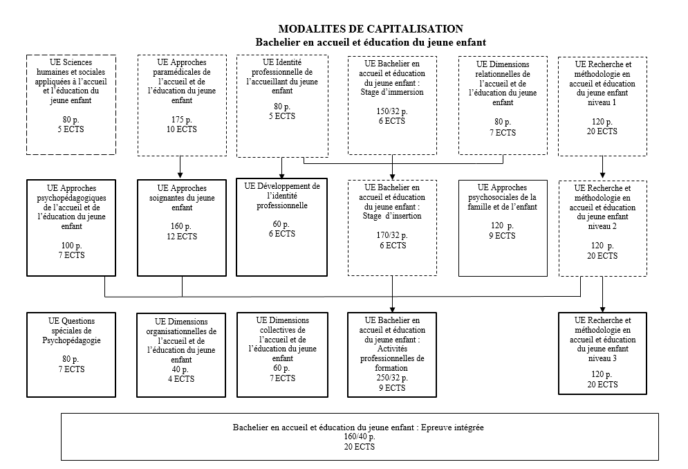 Organigramme Bachelier en accueil et éducation jeune enfant