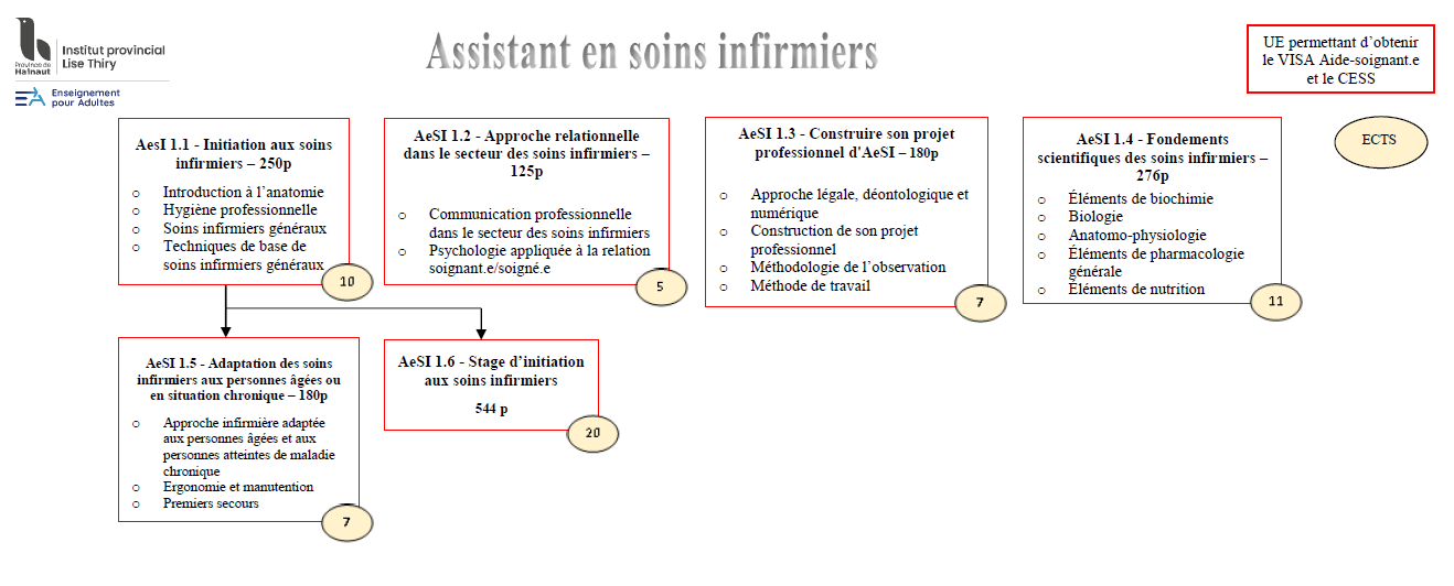 aesi_organigramme.jpeg