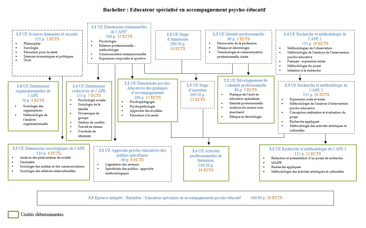 organigramme bes